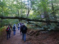 2016-10-09 Les gorges d Apremont 0043